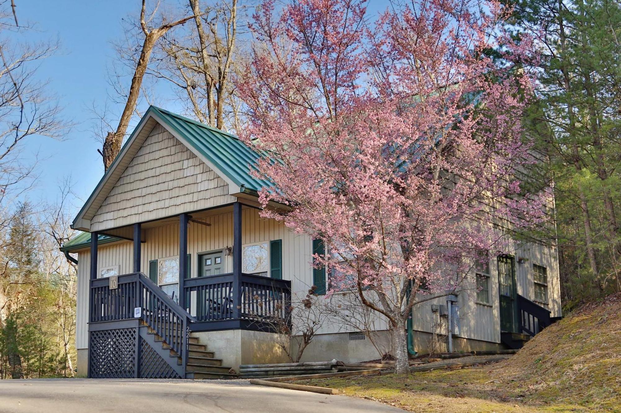 Apple Blossom By Eden Crest Pigeon Forge Luaran gambar